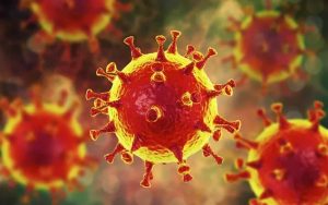Corona Virus