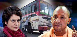 yogi priyanka 1000 bus