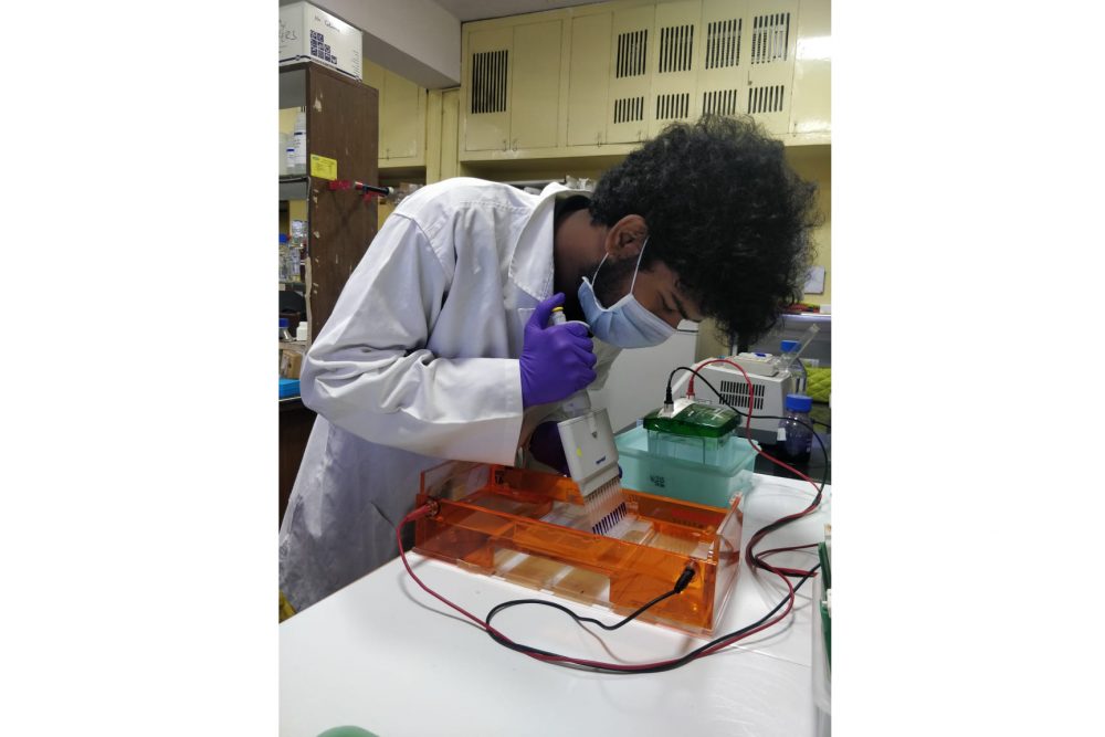 सस्ता और किफ़ायती कोरोना वायरस टेस्ट भारत मे विकसित